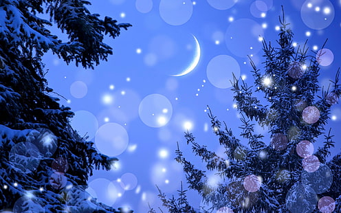 Зимна нощ, заснежени дървета, нова година, декорации, прекрасна, щастлива нова година, весела Коледа, празници, снежинки, весели празници, HD тапет HD wallpaper