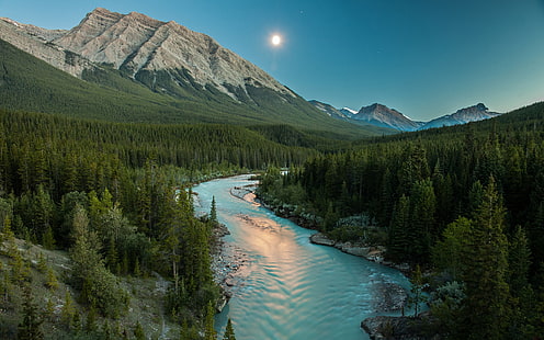 แม่น้ำแสงจันทร์ภูเขาภูมิทัศน์ต้นไม้ป่า HD, ธรรมชาติ, ภูมิทัศน์, ต้นไม้, ภูเขา, ป่า, แม่น้ำ, แสงจันทร์, วอลล์เปเปอร์ HD HD wallpaper