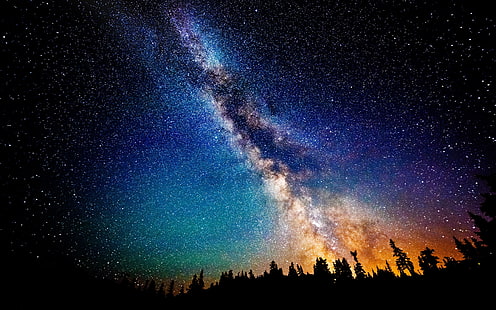 Via Lattea, foto di cosmo durante la notte, notte, spazio, stelle, Via Lattea, alberi, arte spaziale, arte digitale, paesaggio, cielo, natura, Sfondo HD HD wallpaper