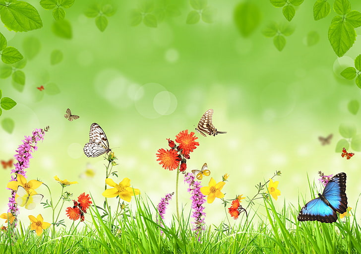 two brown and one blue butterflies clipart, butterfly, flowers, weed, leaves, HD wallpaper