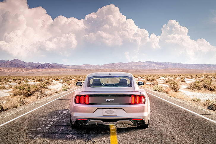 Silber Ford Mustang GT, Straße, Wüste, Mustang, Ford, HD-Hintergrundbild