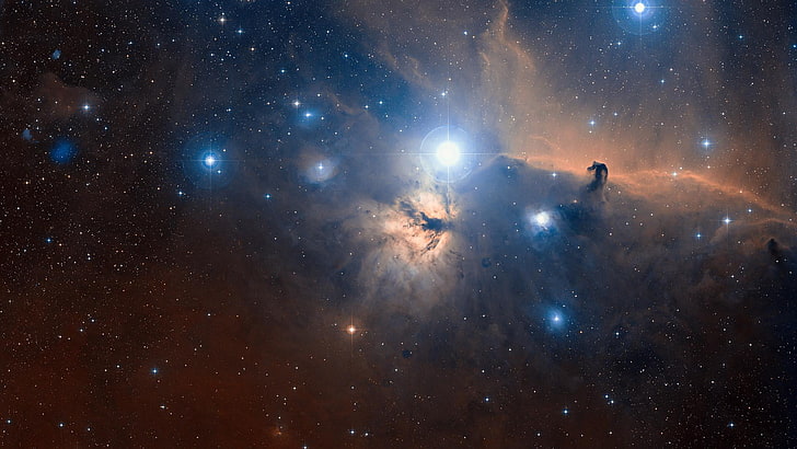 nebula, horsehead nebula, orion, outer space, space, cosmos, universe, starry, stars, HD wallpaper