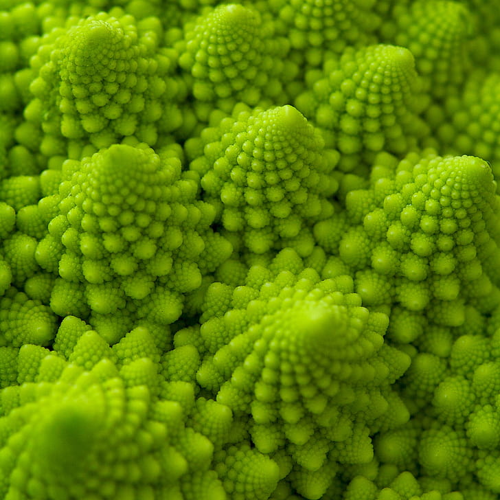 dekorasi bentuk pinus hijau, Fraktal, sayuran hijau, pinus hijau, bentuk, dekorasi, brokoli romanesco, spiral logaritmik, tuan, makro, angka Fibonacci, alam, Warna hijau, close-up, latar belakang, kesegaran, Wallpaper HD