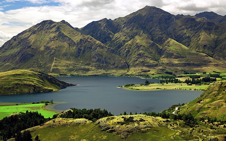зелена тревна площ през деня, пейзаж, природа, Нова Зеландия, езерото Уанака, HD тапет