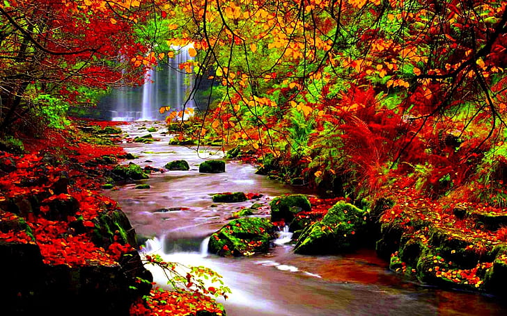 Autumn scenery stream river in autumn-trees with red leaves falling leaves Desktop Hd Wallpaper 2560×1600, HD wallpaper