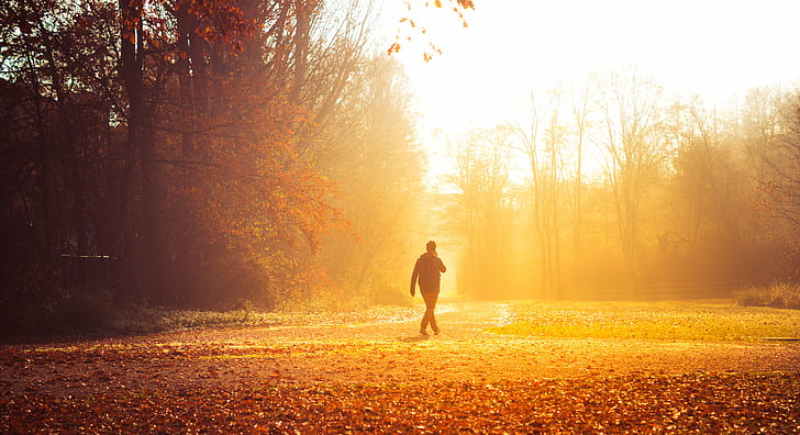 man walking at the field during autumn, Whispers, man, field, autumn  fall, fall  colors, orange, red, trees, beautiful, light, morning, shiny, dreamy, leaves, telephone, smartphone, Nürnberg, Nuremberg, Franconia, Bavaria, Germany, park, fine  art  photography, street, outdoors, nature, autumn, forest, one Person, sunlight, people, women, tree, lifestyles, park - Man Made Space, yellow, sunset, HD wallpaper