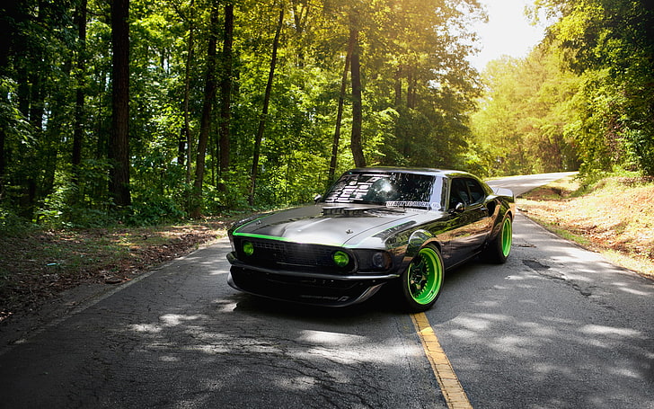 black and green Ford Mustang coupe, road, greens, nature, mustang, ford, rtr-x, HD wallpaper