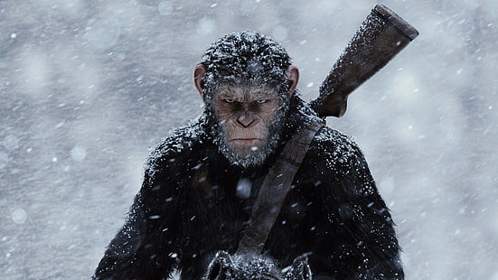 monyet dengan senapan coklat di lapangan salju, War for the Planet of the Apes, kera, 4k, Wallpaper HD HD wallpaper