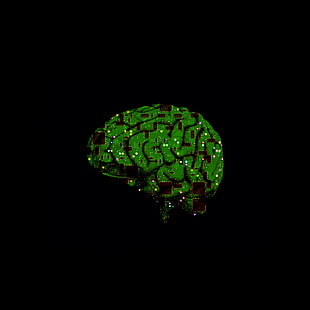 الدماغ ، الرقاقة الدقيقة ، الدوائر ، الذكاء الاصطناعي، خلفية HD HD wallpaper