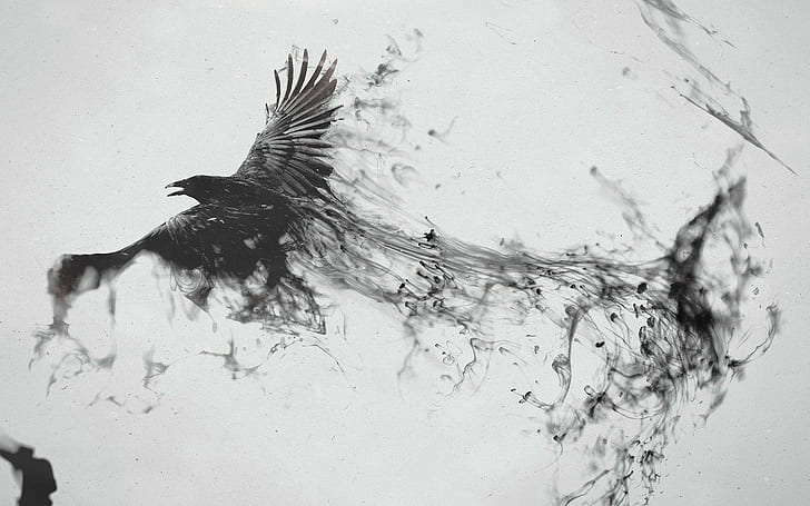Crow turning into smoke, black crow, digital art, 1920x1200, bird, smoke, crow, HD wallpaper