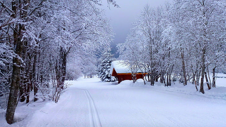 inverno, Sfondo HD