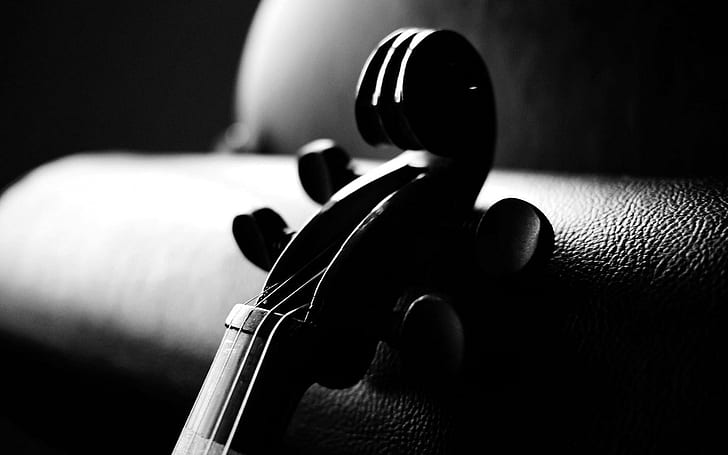 Strumento musicale per violino, paletta per violino nero, violino, musical, strumento, Sfondo HD