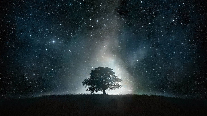 albero sotto la notte stellata, paesaggio, blu, albero, nero, Sfondo HD