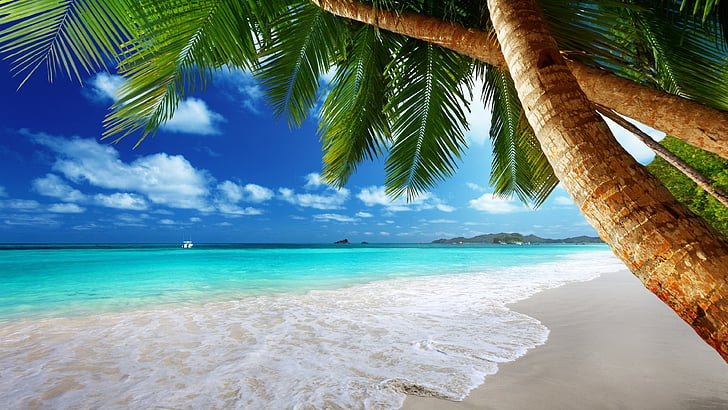 vacances, été, tropical, paysage tropical, lagon, arbre, eau, plage tropicale, plage, plage de sable, palm, échelles, océan, palmier, rive, mer, ciel, vacances, tropiques, Fond d'écran HD