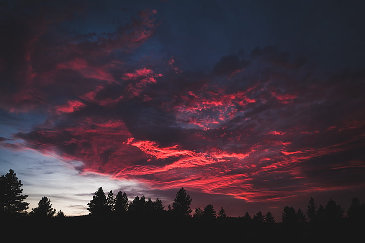 silhouette de l'illustration des arbres, silhouette des arbres sous un nuage rouge au cours de l'heure d'or, Spencer Watson, ciel, forêt, coloré, coucher de soleil, sombre, nature, paysage, Fond d'écran HD