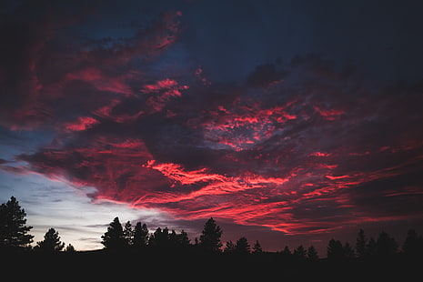 silhouette di alberi illustrazione, silhouette di alberi sotto la nuvola rossa durante l'ora d'oro, Spencer Watson, cielo, foresta, colorato, tramonto, buio, natura, paesaggio, Sfondo HD HD wallpaper