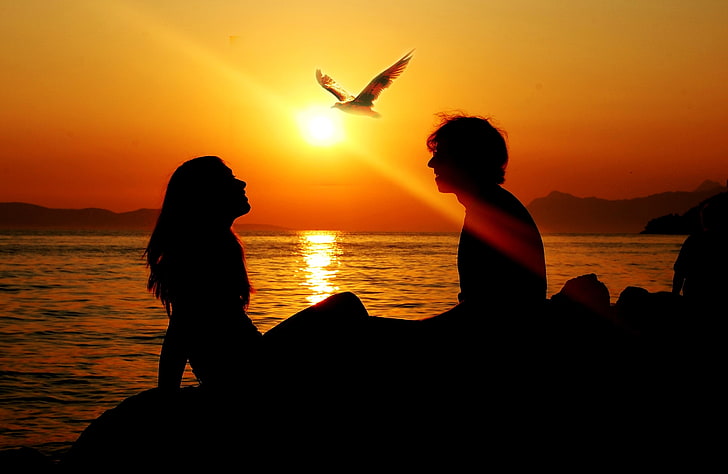เนื้อน้ำและนกสาวพระอาทิตย์ตกฤดูร้อนเรย์ความรักทะเลชายนกเสรีภาพเงาดวงอาทิตย์นางนวลทะเล, วอลล์เปเปอร์ HD