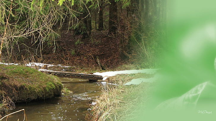 Córrego do início da primavera, primavera, floresta, riacho, bosques, córrego, riacho, neve, riacho, 3d e abstrato, HD papel de parede