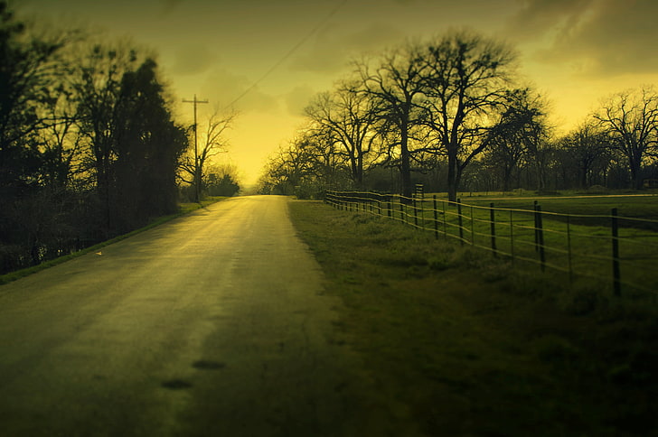dirty road beside fence, road, greens, the sky, grass, leaves, clouds, macro, trees, landscape, nature, background, tree, widescreen, Wallpaper, foliage, blur, the evening, meadow, track, path, full screen, HD wallpapers, fullscreen, HD wallpaper