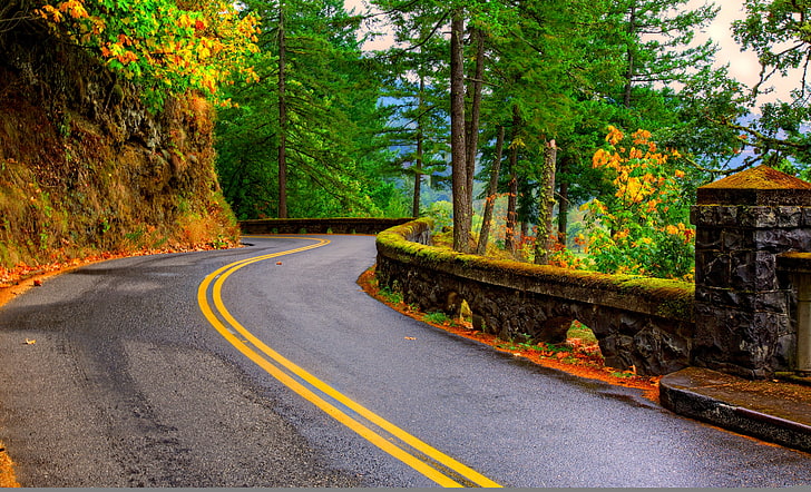 jalan beton kelabu, jalan, musim gugur, dedaunan, alam, gunung, warna, warna-warni, pohon, jalan, jalan, musim gugur, Wallpaper HD