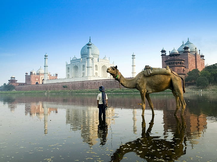 Yamuna Fluss Agra Indien, Taj Mahal, Indien, Fluss, Agra, Yamuna, HD-Hintergrundbild