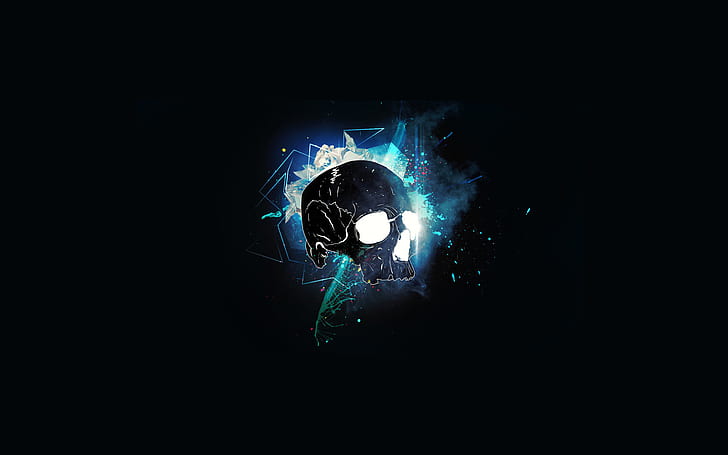 Skull Abstract Black HD ภาพประกอบกะโหลกจักรวาลนามธรรมดิจิตอล / อาร์ตเวิร์คสีดำกะโหลกศีรษะ, วอลล์เปเปอร์ HD