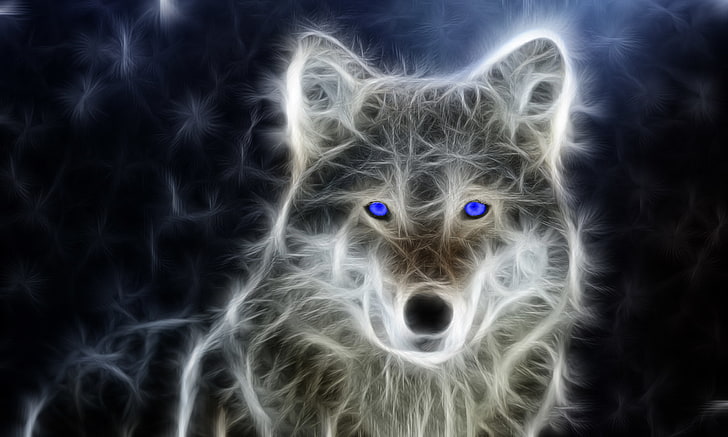 Loup gris européen, Fond d'écran HD