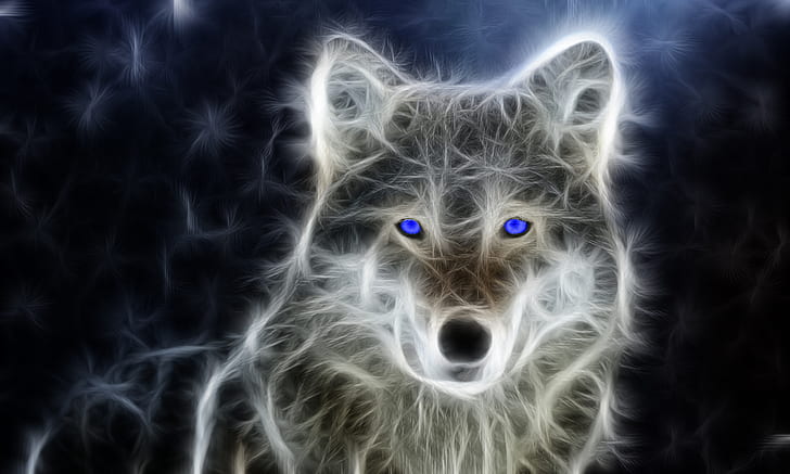 lobo, abstracto, animales, ojos azules, Fondo de pantalla HD