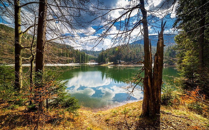 การถ่ายภาพธรรมชาติภูมิทัศน์ทะเลสาบการสะท้อนภูเขาพุ่มไม้หญ้าแห้งต้นไม้เมฆแสงแดดยูเครน, วอลล์เปเปอร์ HD