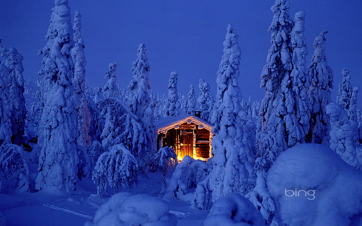 lighted house illustration, forest, the sky, light, snow, night, nature, lights, tree, new year, hut, Christmas, spruce, the fire, house, the snow, Lapland, HD wallpaper