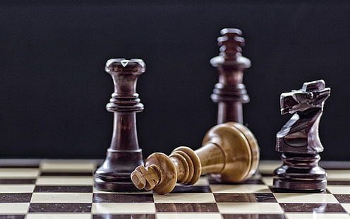 шахматная фигура короля, рыцаря и королевы, игра, шахматы, HD обои HD wallpaper