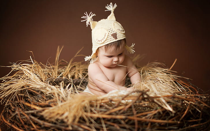 Cute baby sitting on the nest, Cute, Baby, Sitting, Nest, HD wallpaper