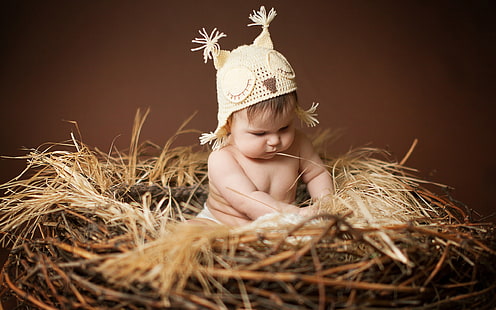 Сладко бебе, седнало на гнездото, Сладко, Бебе, Седящо, Гнездо, HD тапет HD wallpaper