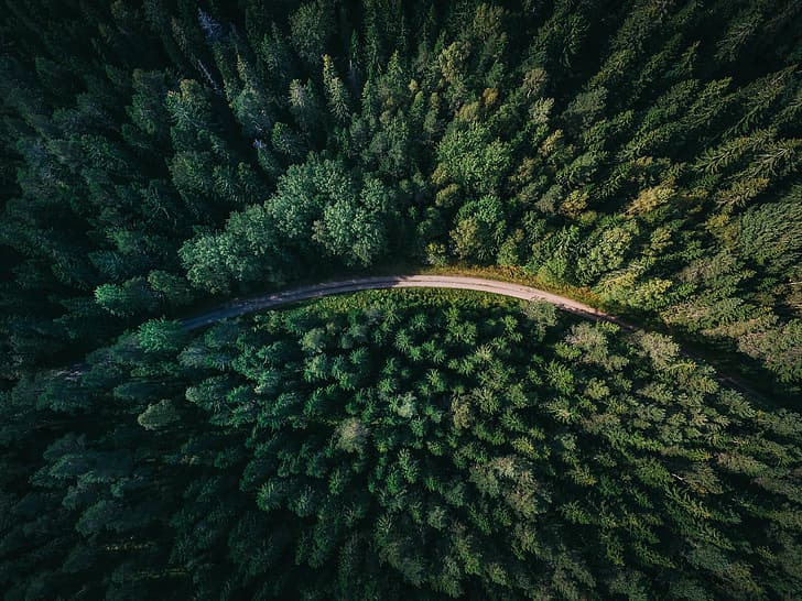 road, forest, Sweden, the view from the top, Gavle, HD wallpaper