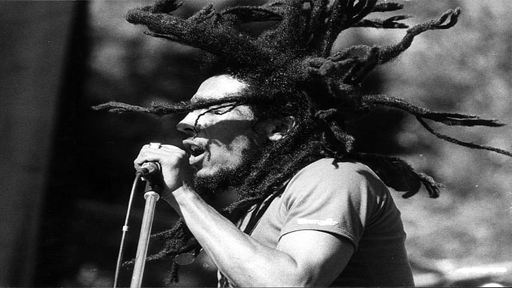 Bob Marley, Dreadlocks, Microphone, Action, Concert, Fond d'écran HD