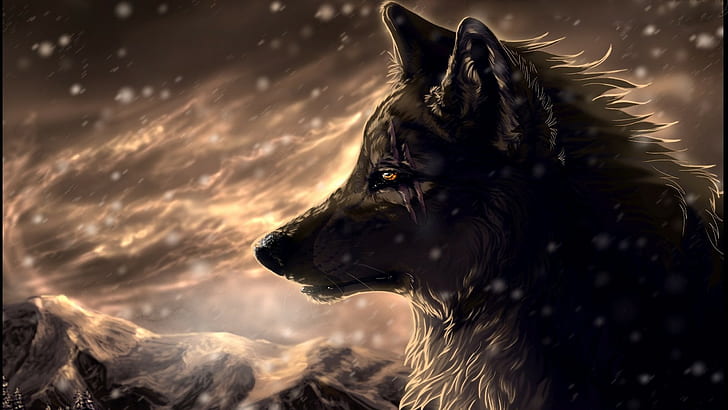 Wolf, Narben, digitale Kunst, HD-Hintergrundbild