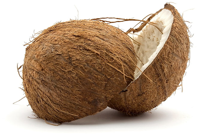 코코넛 열매, 코코넛, 익은, 과일, HD 배경 화면