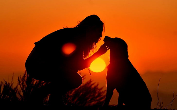 foto della siluetta del cane della tenuta della donna, ragazza, cane, luce, ombra, siluetta, Sfondo HD
