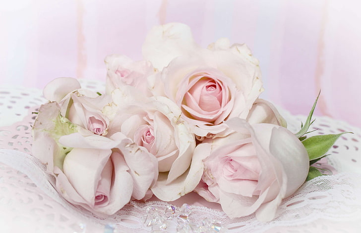 фон, темно-розовый, приглашение, ностальгия, ностальгия, розовый, романтика, романтика, розы, потертый шик, винтаж, свадьба, HD обои