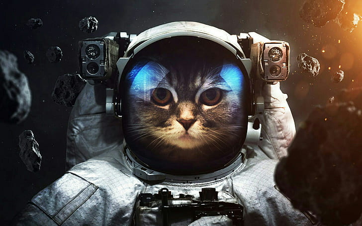 кот, космос, космонавт, астероид, костюм, HD обои