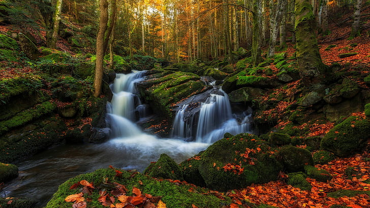 Natur, Landschaft, Wasserfall, Wald, HD-Hintergrundbild