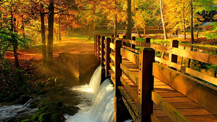 nature, autumn, fall, leaf, forest, river, walk, leaves, tree, sunlight, alley, waterfall, trees, landscape, dam, wood bridge, HD wallpaper