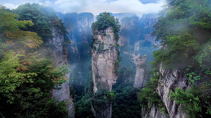green leafed plants, nature, landscape, mist, national park, mountains, cliff, Avatar, morning, China, Hunan, HD wallpaper