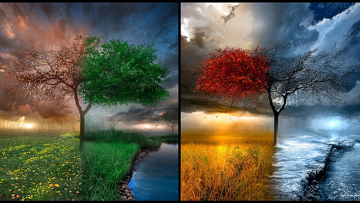 two green and red tree artworks collage, nature, seasons, collage, trees, landscape, HD wallpaper