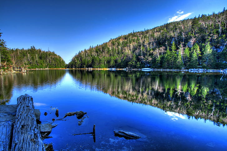 photo of river and forest, lac, spruce, lac, spruce, Lac, Spruce, HDR, photo, river, forest, lake, water, scene, scenery, landscape, nature, natural, quiet, serene, calm, peaceful, mountain, tree, sutton  quebec, canada, wilderness, reflection  symmetry, symmetrical, cyan, high  definition, dynamic  range, stock  photo, picture, photos, resource, photograph, image, scenics, outdoors, reflection, blue, sky, beauty In Nature, summer, HD wallpaper
