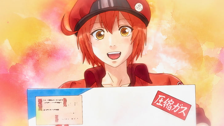 Anime, Cells at Work!, AE3803 (Cells at Work), HD wallpaper