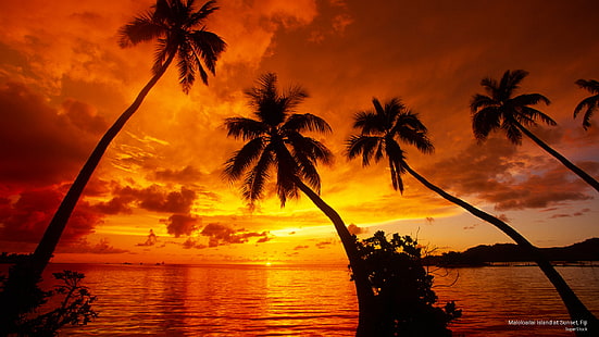 جزيرة Maloloailai عند غروب الشمس ، فيجي ، شروق الشمس / غروب الشمس، خلفية HD HD wallpaper