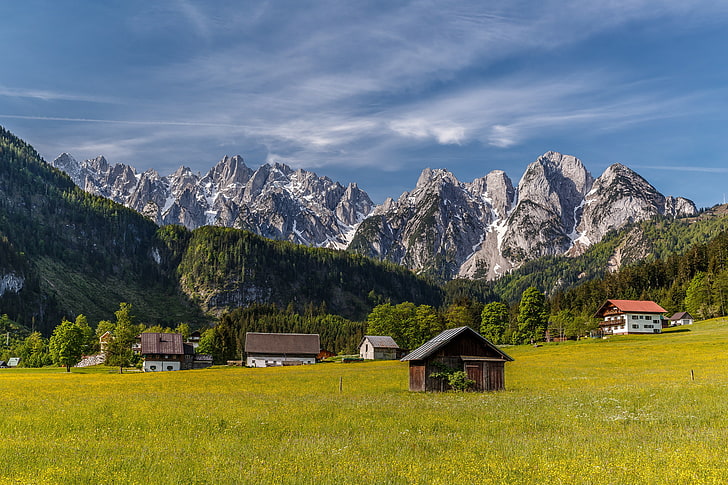 茶色と灰色の山脈、山、家、オーストリア、谷、村、アルプス、草原、家、 HDデスクトップの壁紙