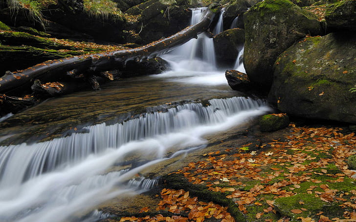 Piccola cascata sul fiume, cascate e muschio verde, natura, 1920x1200, foresta, cascata, fiume, autunno, Sfondo HD