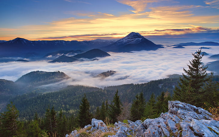 nature, landscape, forest, mountains, clouds, snowy peak, mist, valley, HD wallpaper